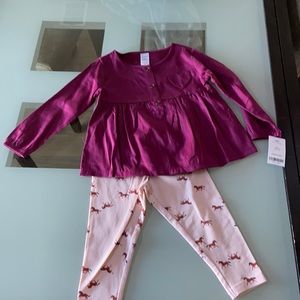 Carter’s NWT pant set.